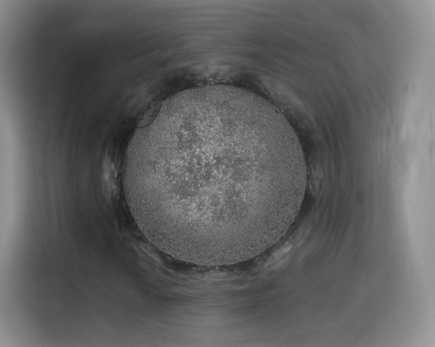 X0000115361010200911101152