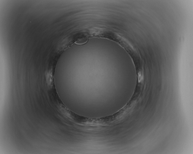 X0000115361011200911101152