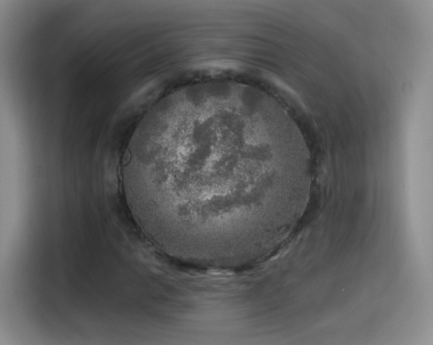X0000115361014200911101152
