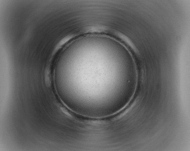 X0000115361018200911101152