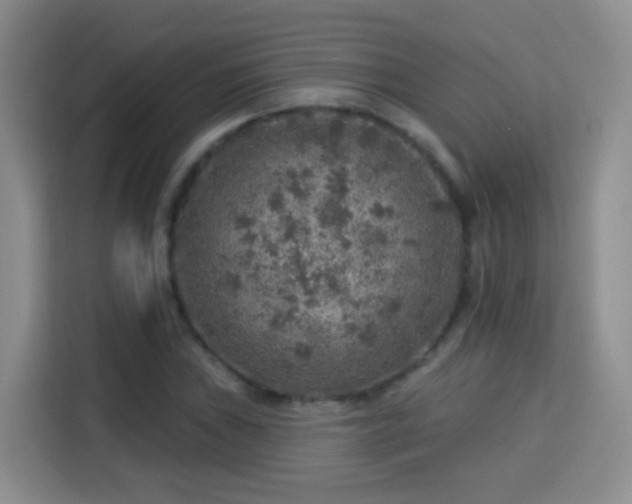 X0000115361019200911101152
