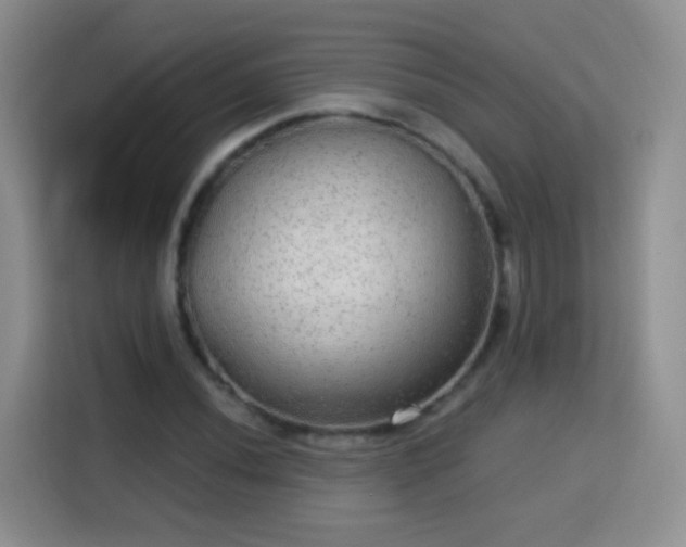 X0000115361020200911101152