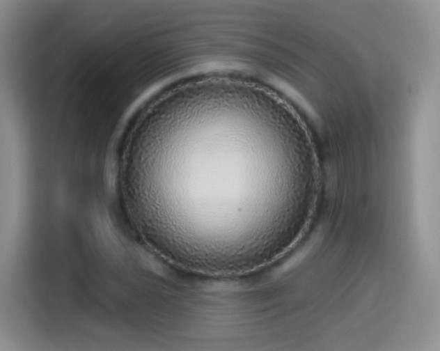 X0000115361021200911101152