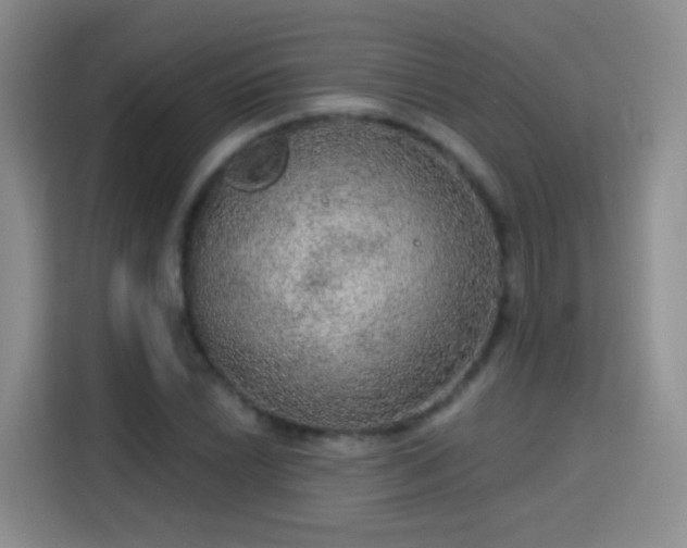 X0000115361022200911101152