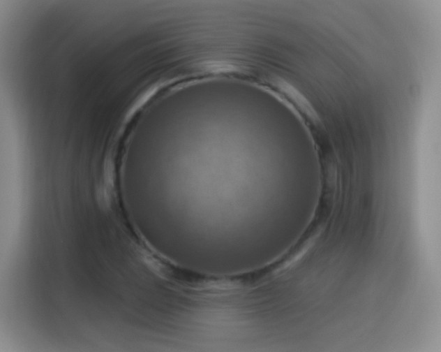 X0000115361023200911101152
