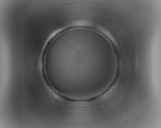 X0000115361024200911101152