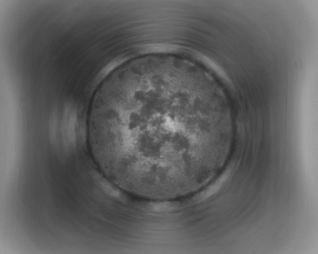 X0000115361025200911101152
