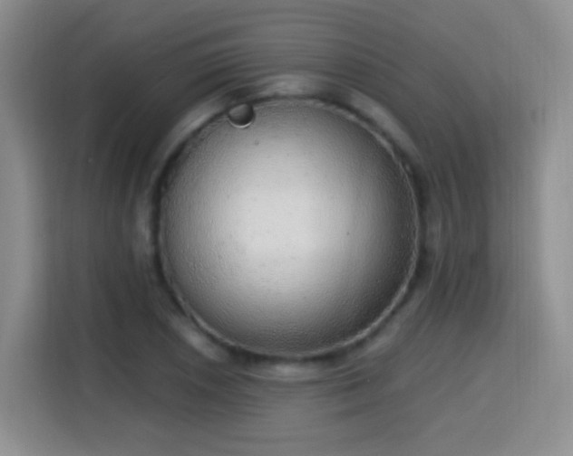 X0000115361026200911101152