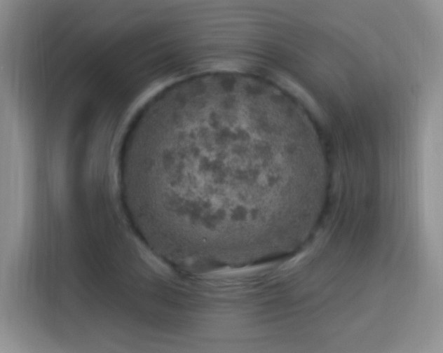 X0000115361027200911101152