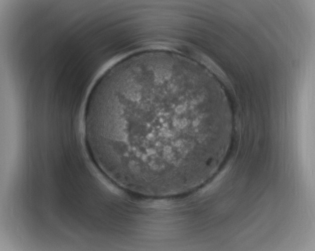 X0000115361028200911101152