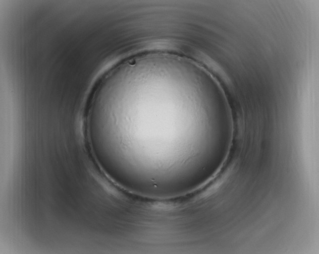 X0000115361029200911101152