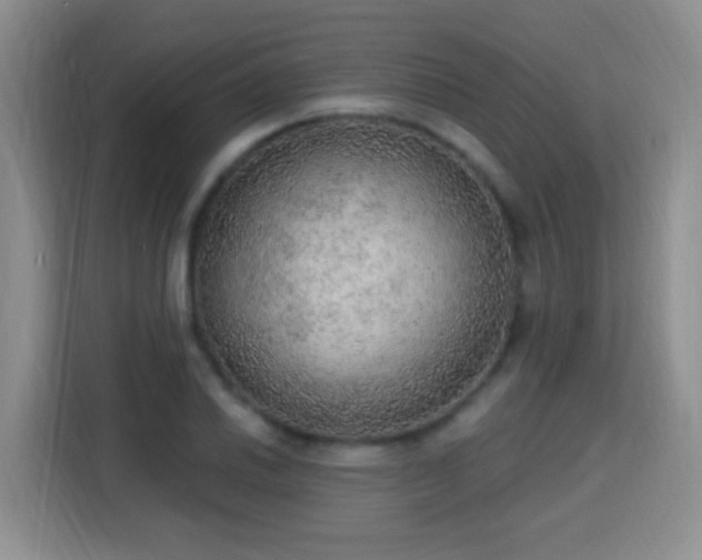 X0000115361030200911101152