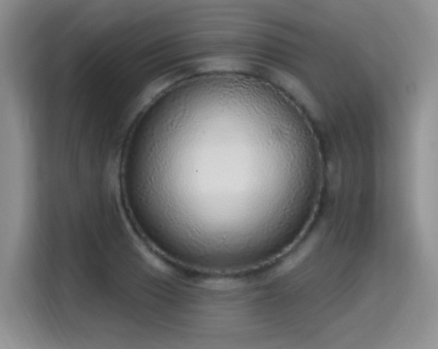 X0000115361033200911101152