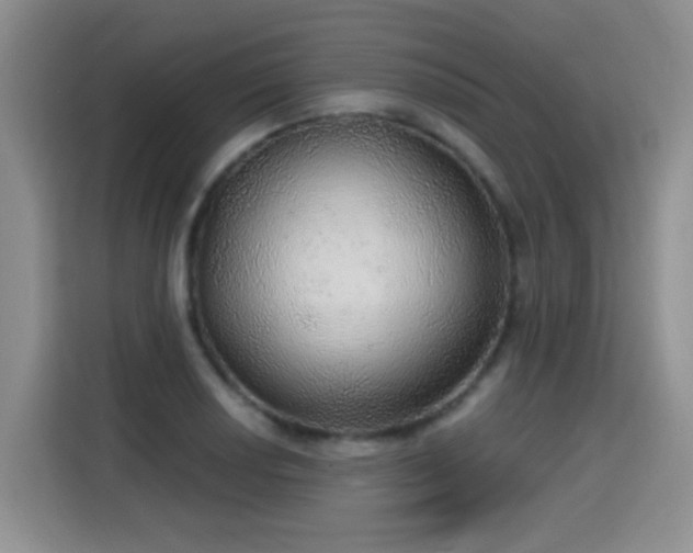 X0000115361034200911101152