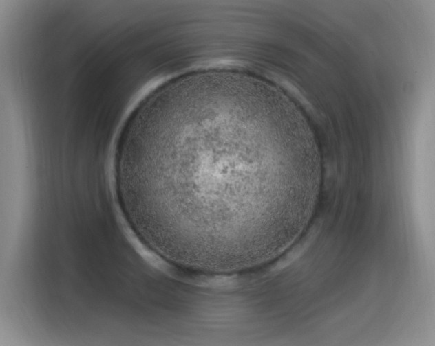 X0000115361038200911101152