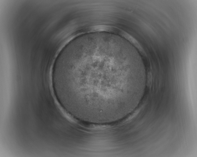 X0000115361039200911101152