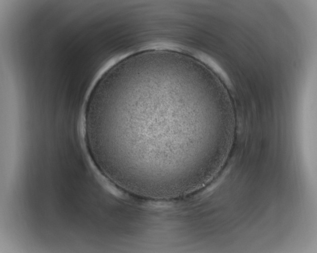 X0000115361040200911101152