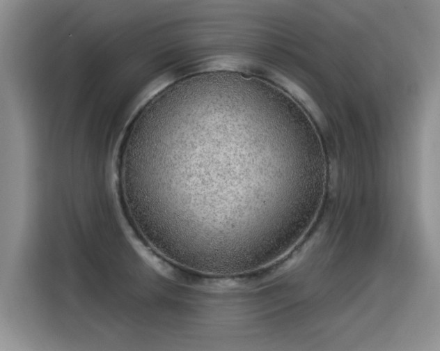 X0000115361042200911101152