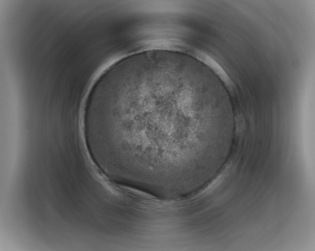 X0000115361043200911101152