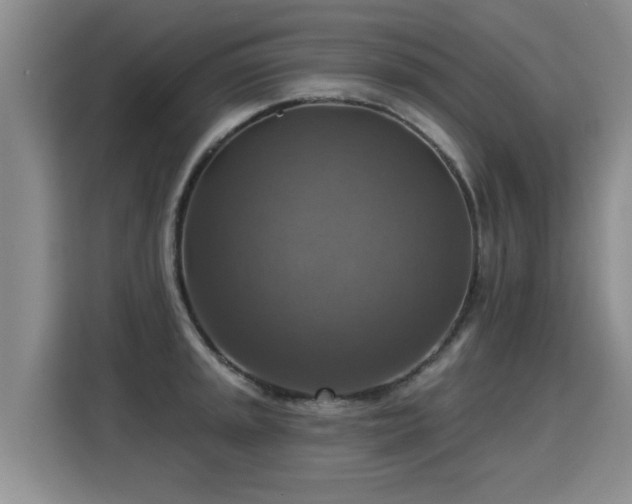 X0000115361045200911101152
