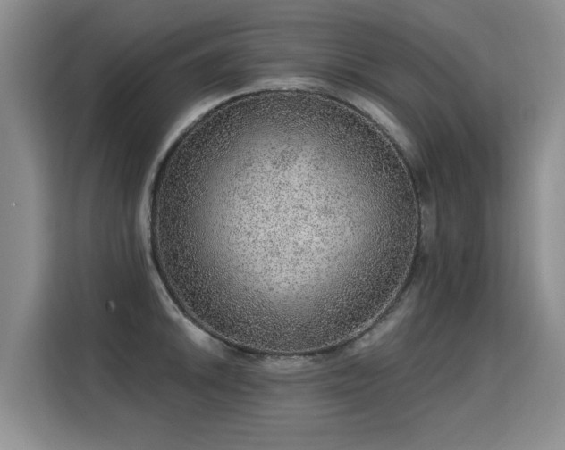 X0000115361046200911101152