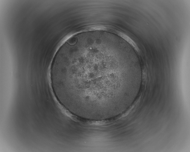 X0000115361047200911101152