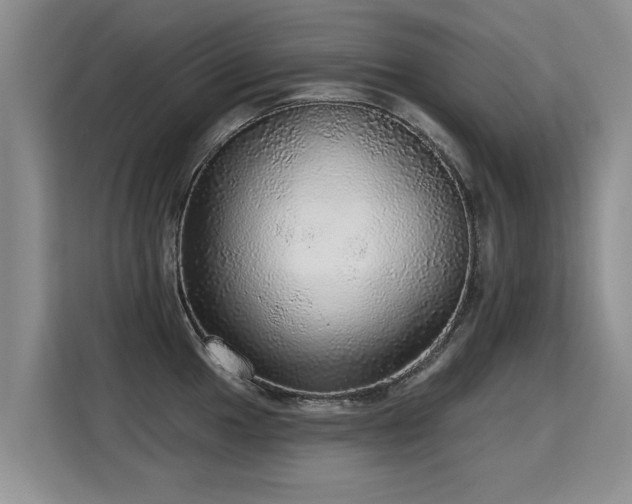 X0000115361049200911101152