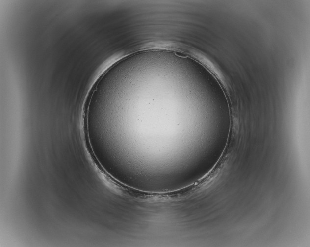 X0000115361050200911101152