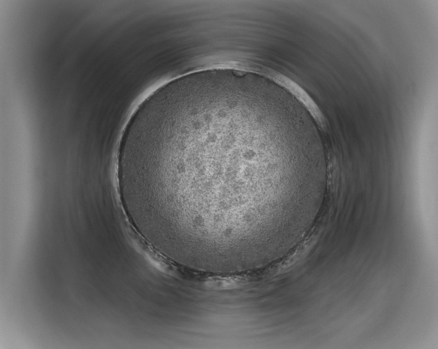 X0000115361051200911101152