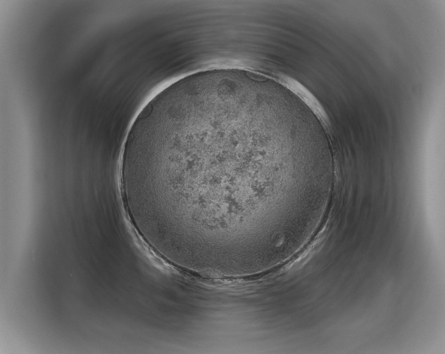X0000115361052200911101152
