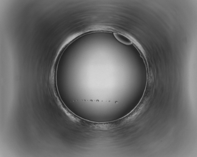 X0000115361053200911101152