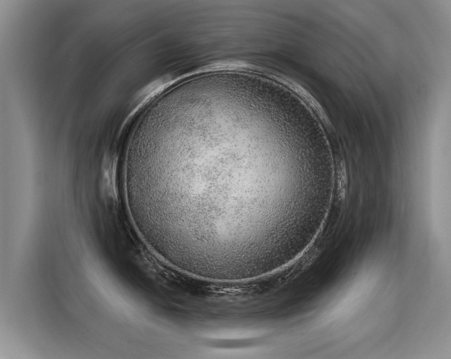 X0000115361054200911101152