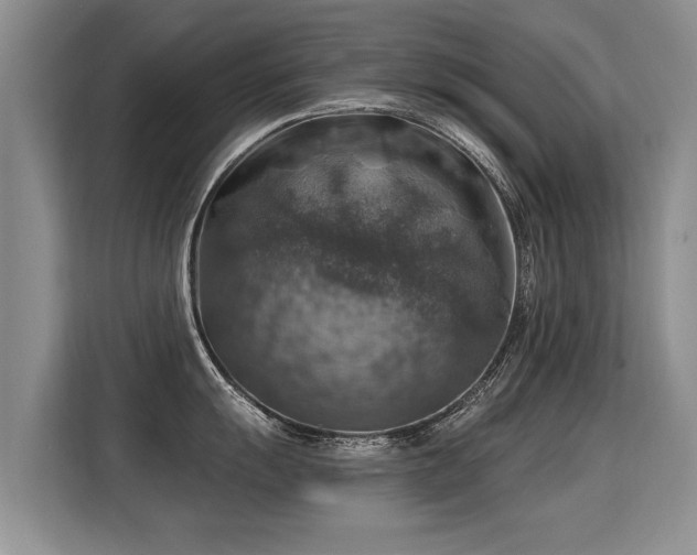 X0000115361055200911101152