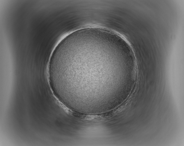 X0000115361056200911101152