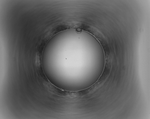 X0000115361058200911101152