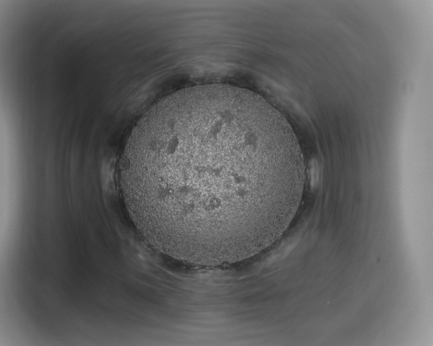 X0000115361059200911101152