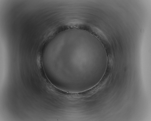 X0000115361060200911101152