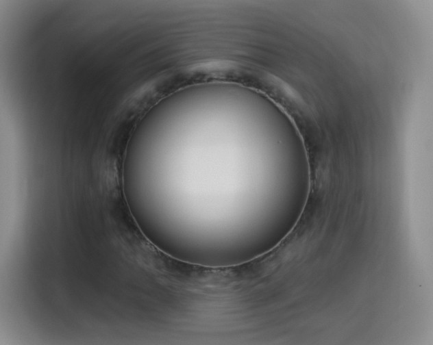 X0000115361062200911101152