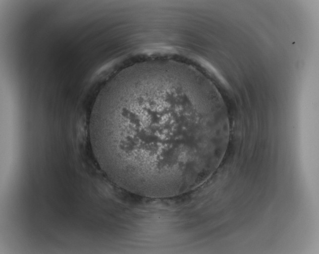 X0000115361063200911101152