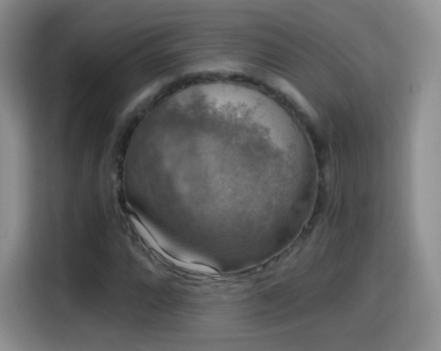 X0000115361064200911101152
