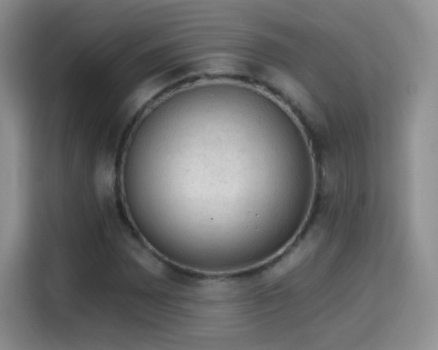 X0000115361065200911101152