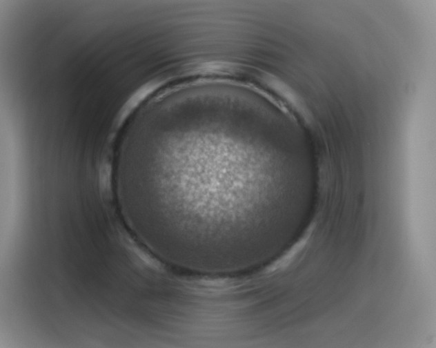 X0000115361066200911101152