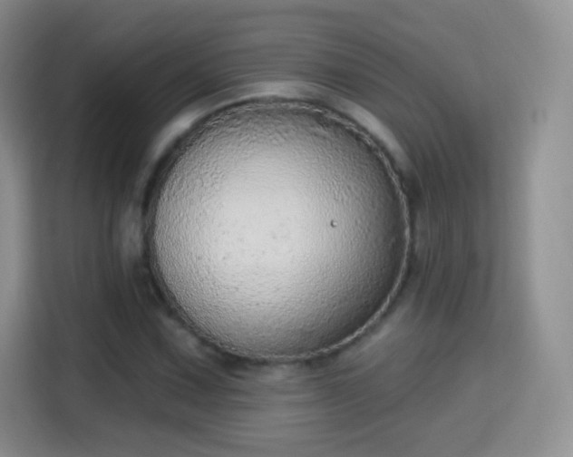 X0000115361067200911101152