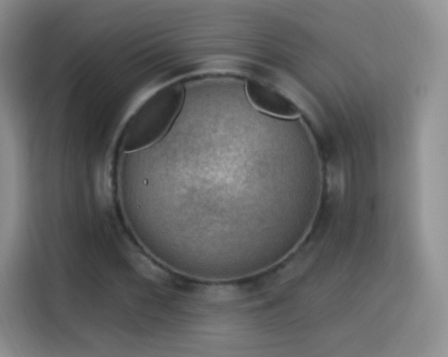 X0000115361068200911101152