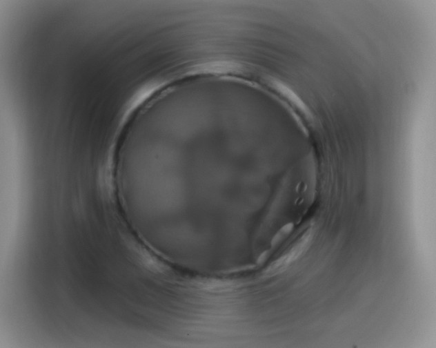 X0000115361071200911101152