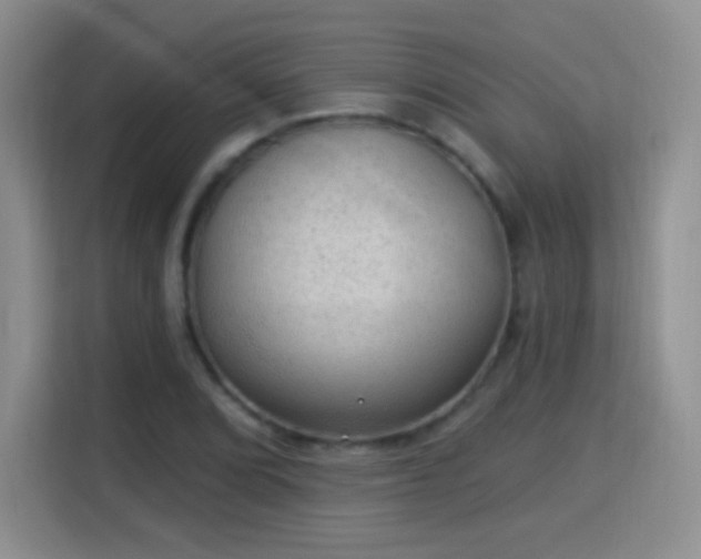 X0000115361072200911101152