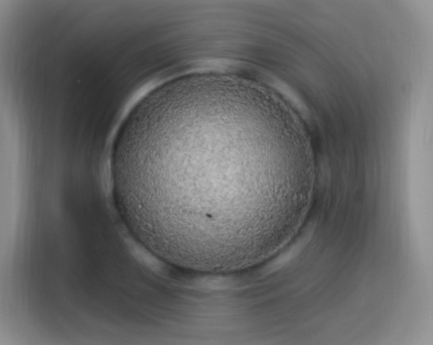 X0000115361075200911101152