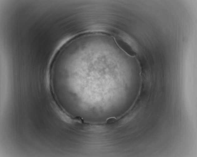 X0000115361076200911101152