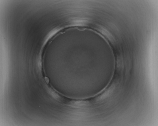 X0000115361077200911101151