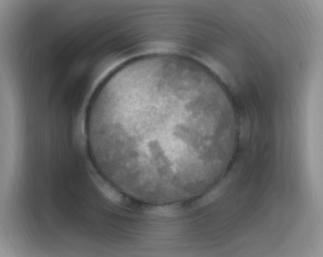 X0000115361078200911101151